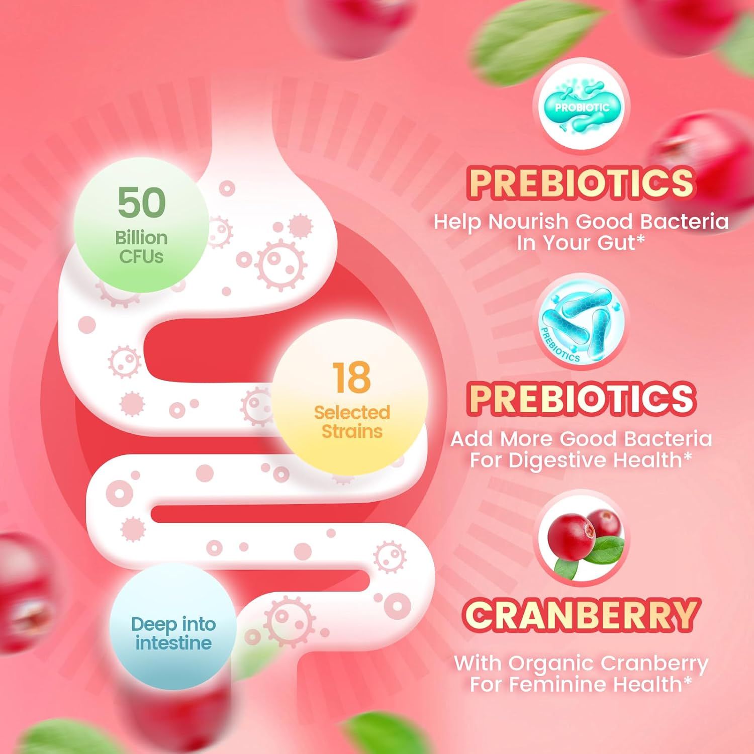 Probiotic prebiotic cranberry formula – best vaginal health supplements
